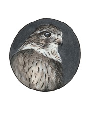 Merlin
Original Available
Ink and Metallic Acrylic
5 x 7"